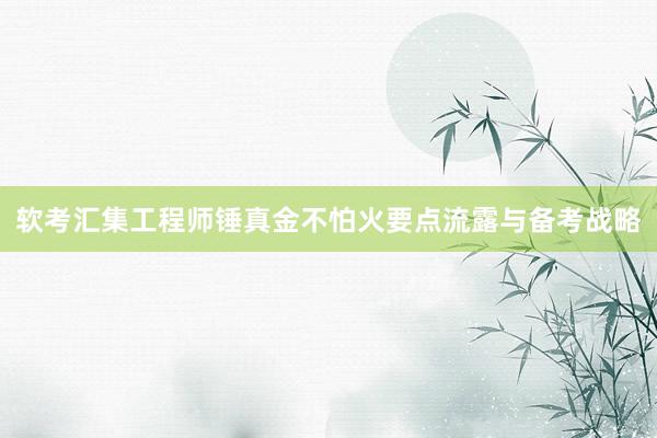 软考汇集工程师锤真金不怕火要点流露与备考战略